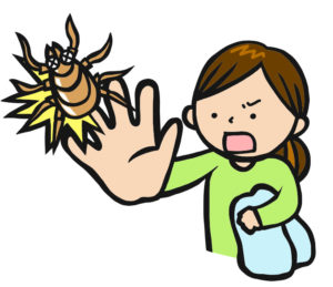 ベランダの赤い虫を予防するためには 気長に